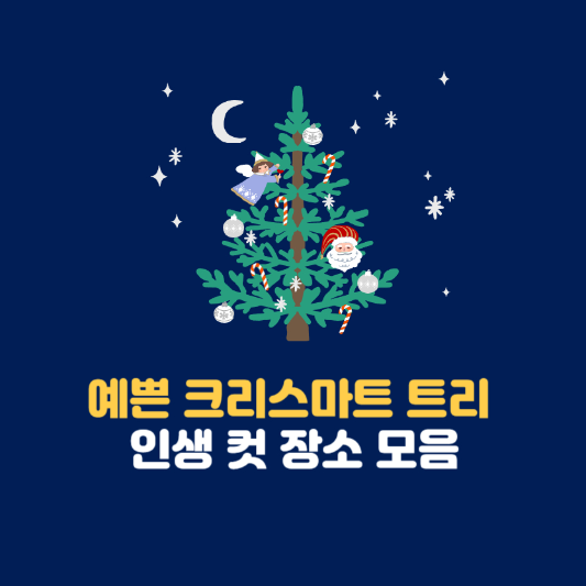 예쁜 크리스마트 트리 있는 곳