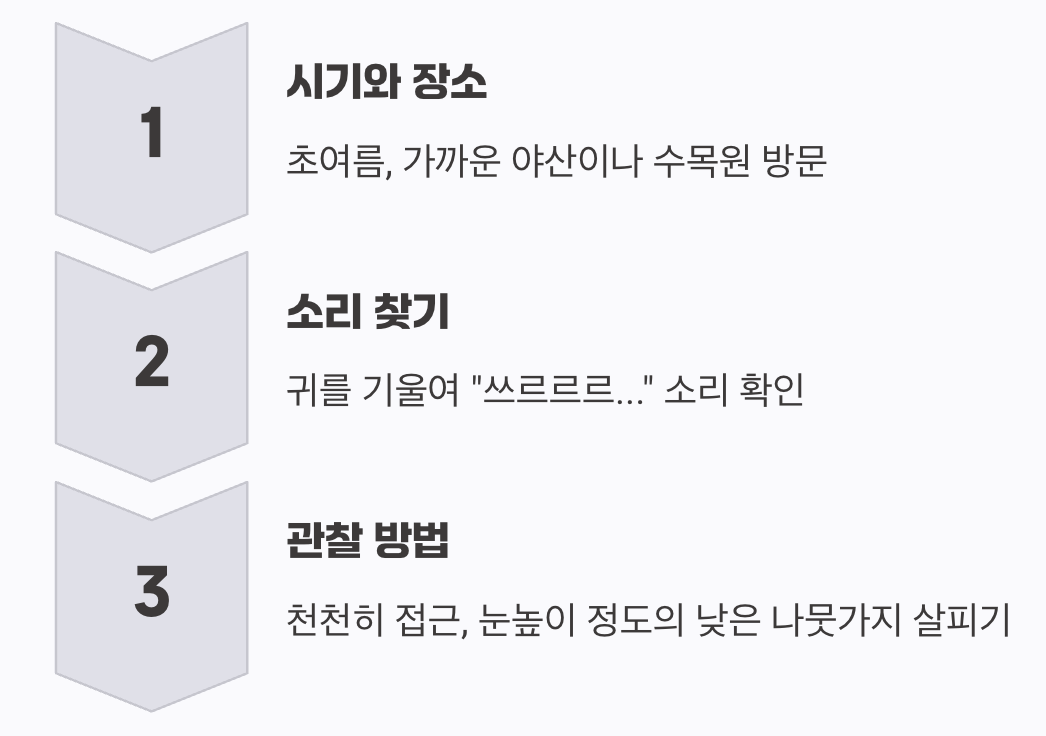 이 숲속의 요정을 만나려면