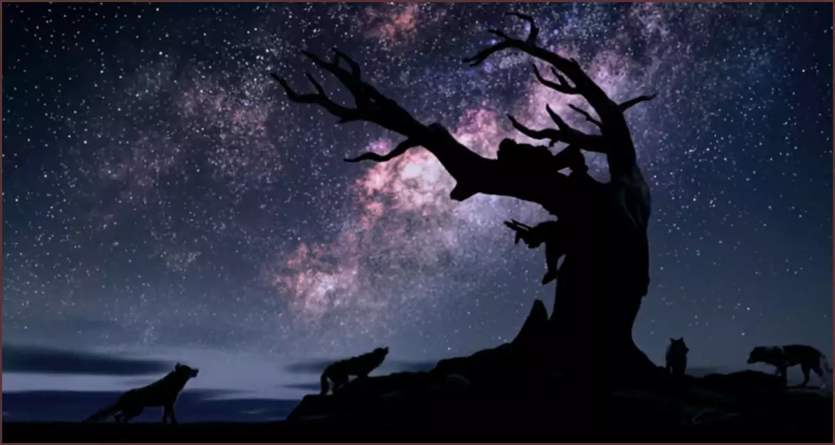 케다의 모험 시작