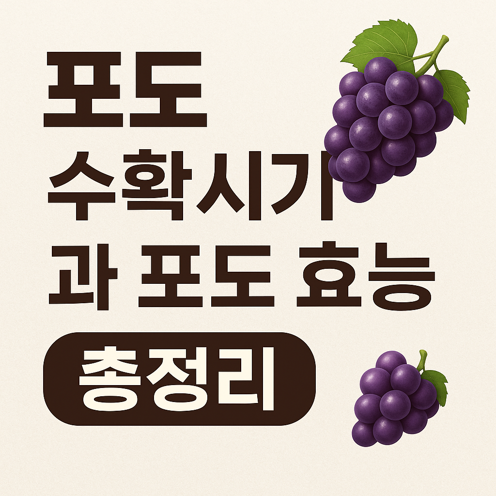 포도 수확시기와 포도 효능 총정리