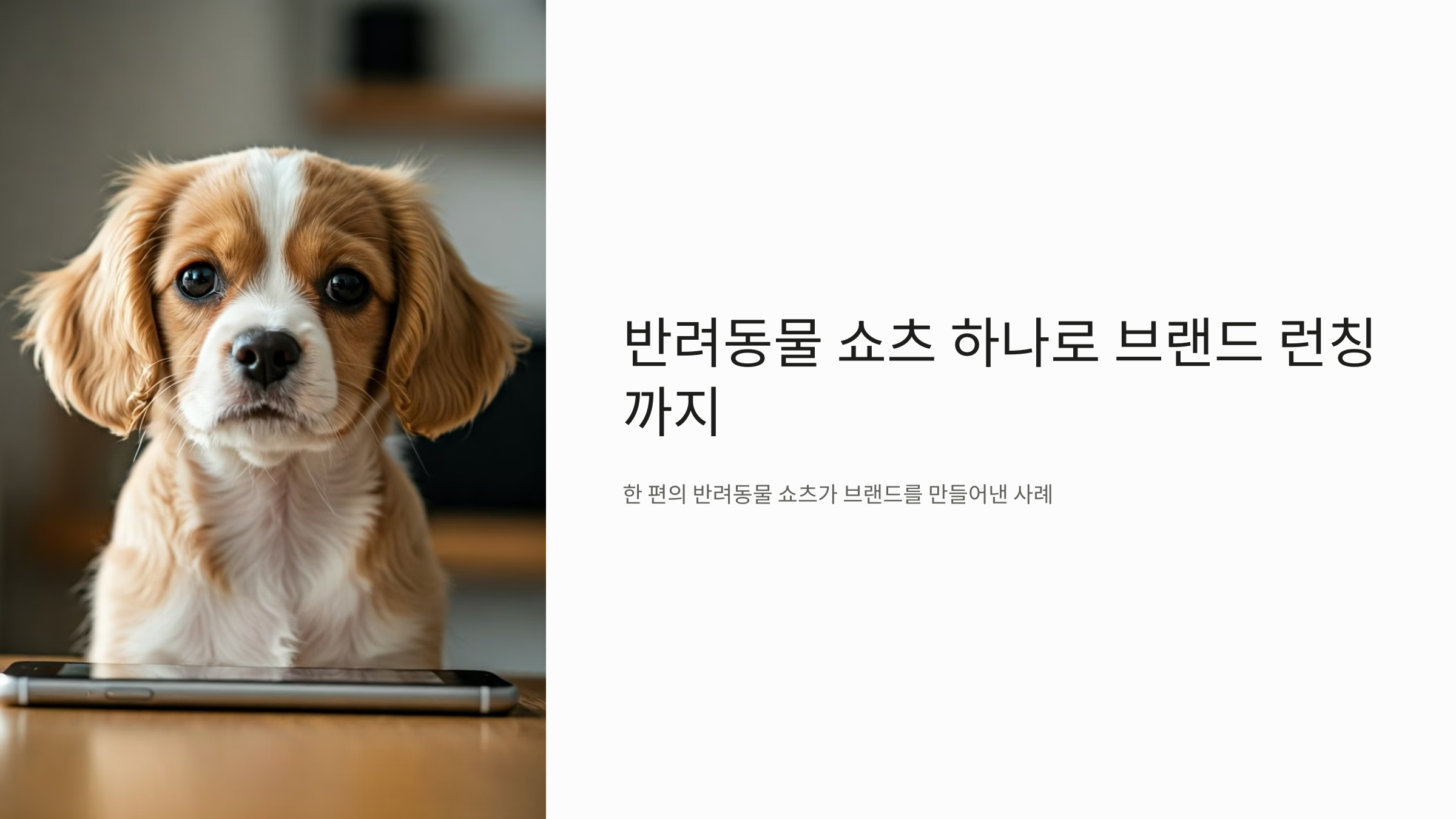 강아지와 함께 뜬 채널