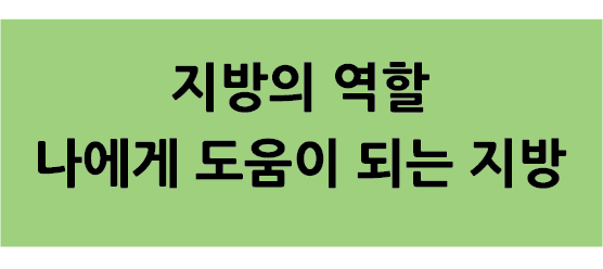 Alt 속성 문제 해결 설명 이미지