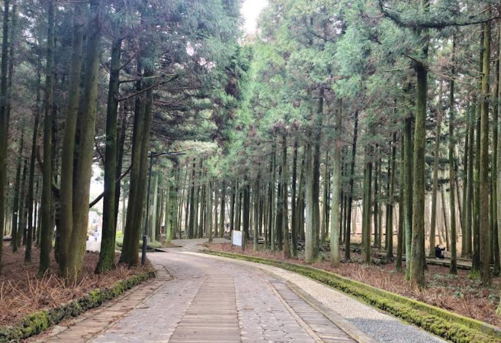 제주절물자연휴양림