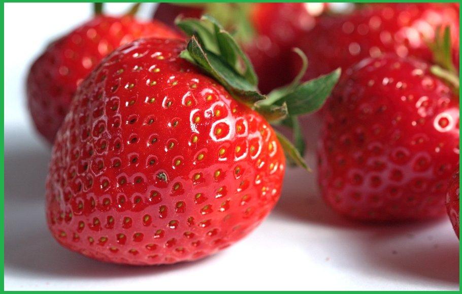 고지혈증-치료방법