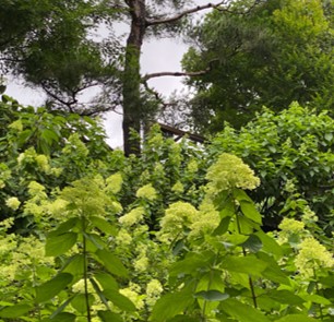 화담채 예약 방법