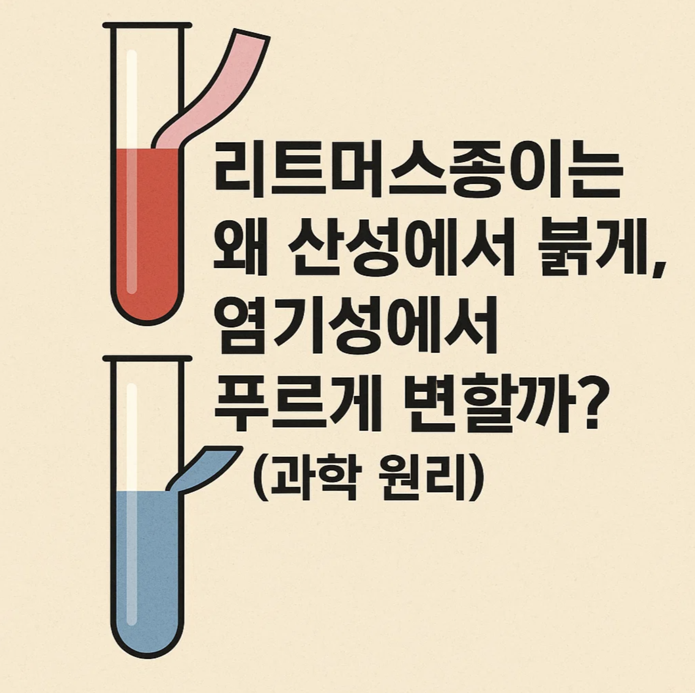 리트머스종이는 왜 산성에서 붉게, 염기성에서 푸르게 변할까? (과학 원리)