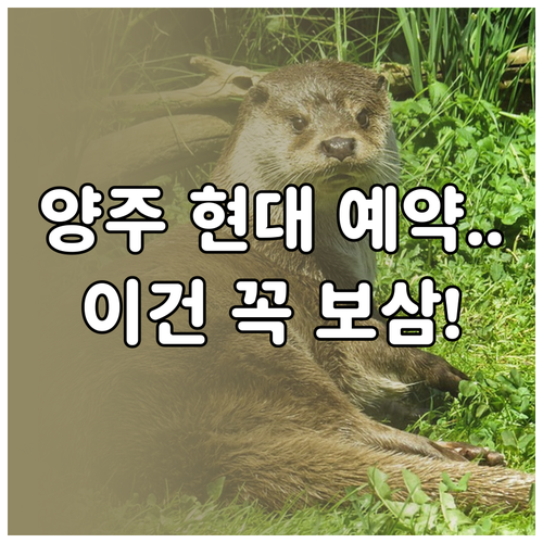 양주시 현대자동차 서비스센터 예약 방..