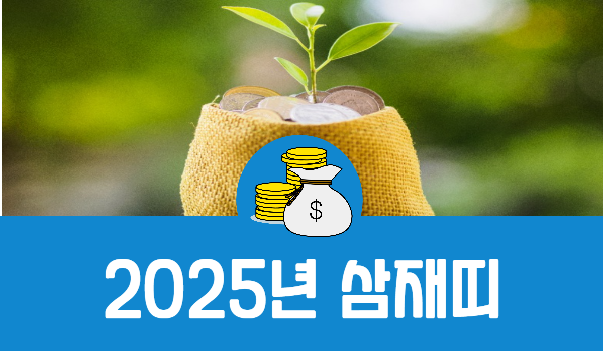 2025년 삼재띠