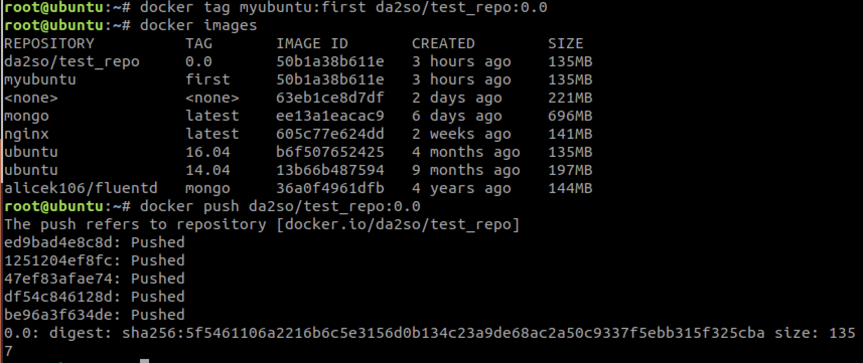 docker push
