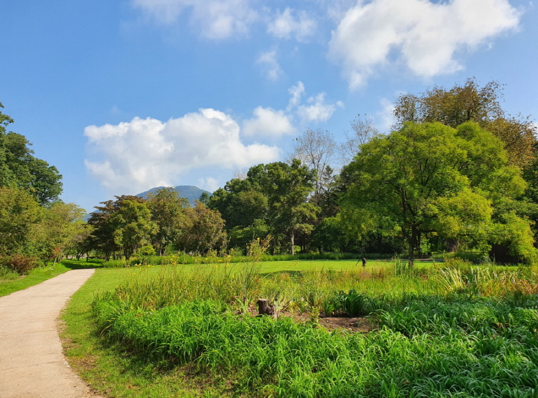 국립수목원