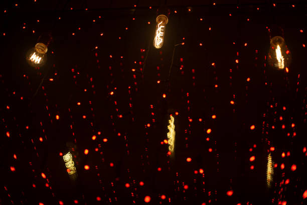 해운대 빛축제 개요