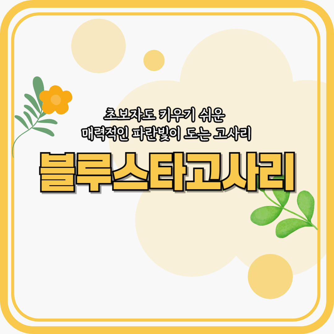 블루스타고사리