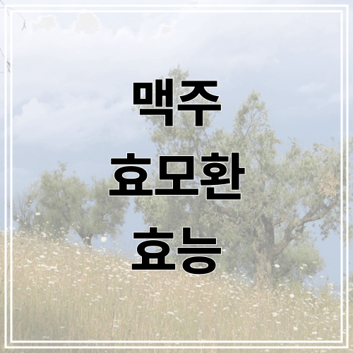 맥주 효모환 효능