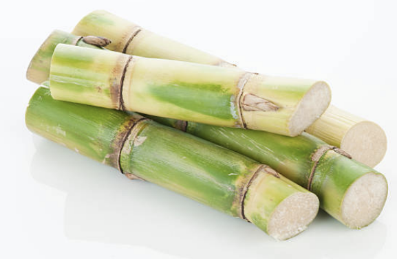 폴리코사놀의효능