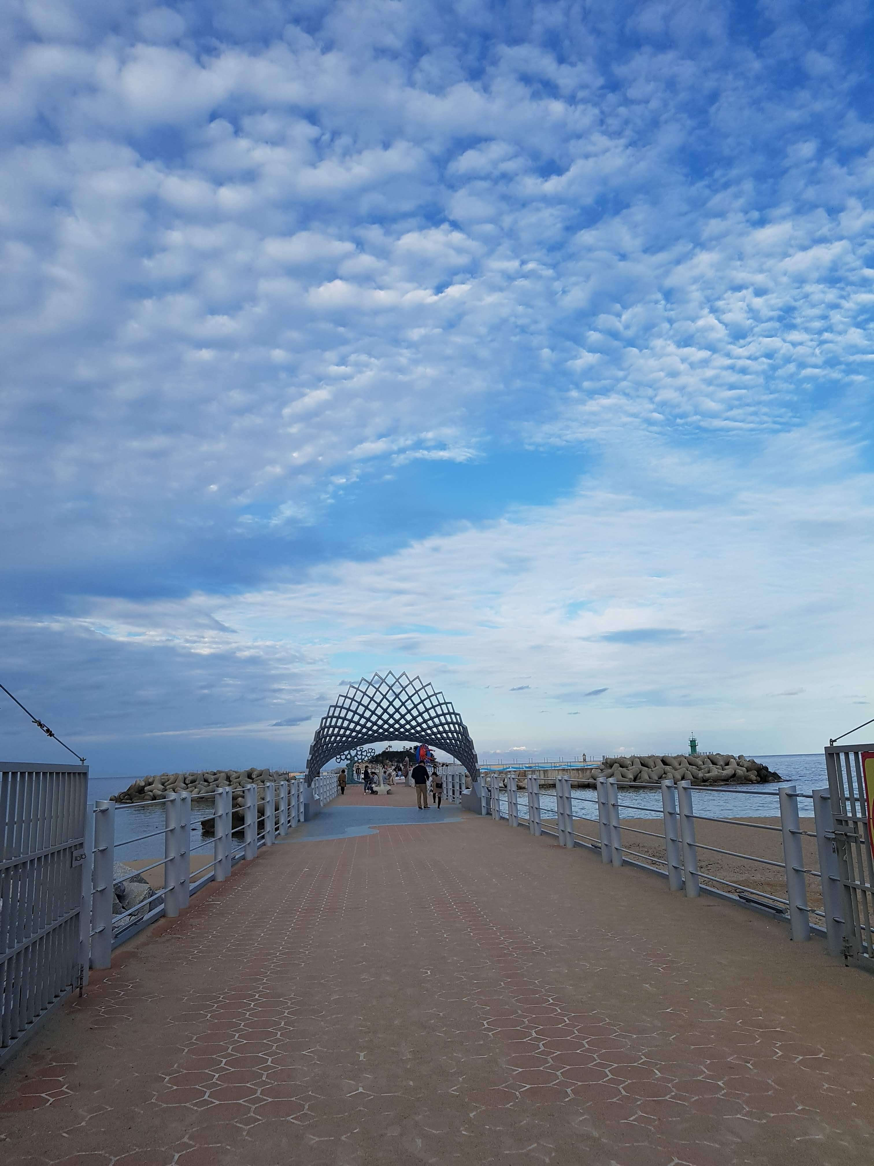 2025 동해안 해수욕장 개장일 총정리4