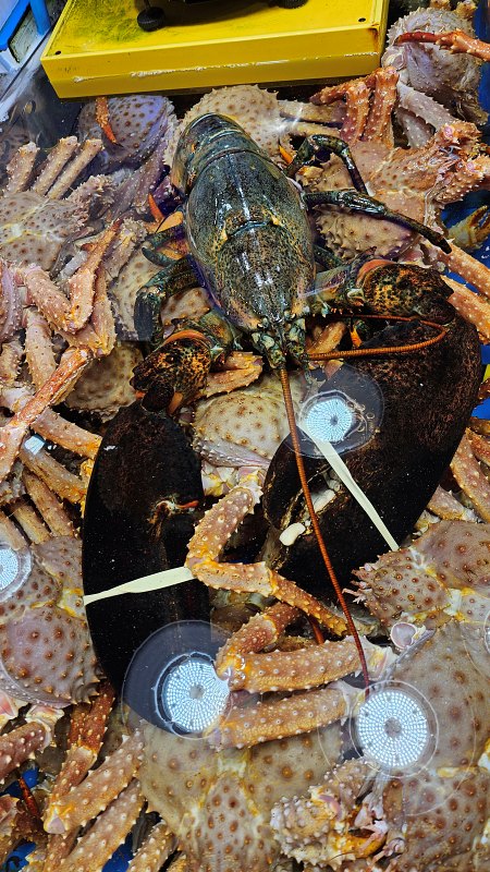 연안부두 바닷가재