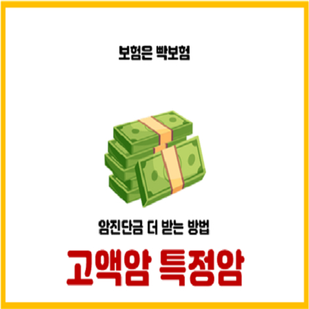 고액암과 소액암의 차이