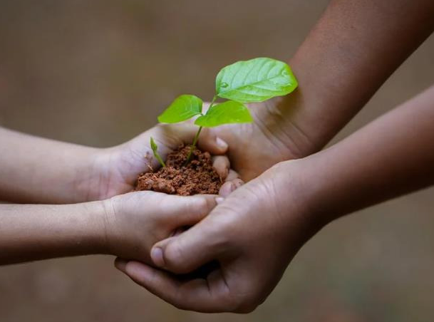 기초생활수급자 급여 지급일은 언제? 2025년 4월 20일 지급 예정