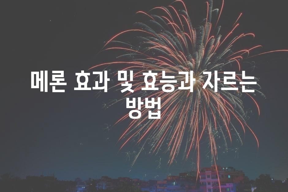샘플 (12)