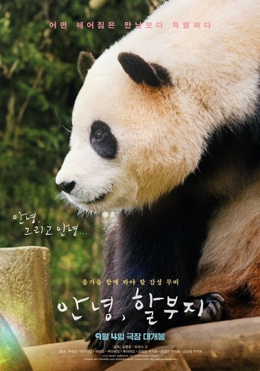 푸바오 영화