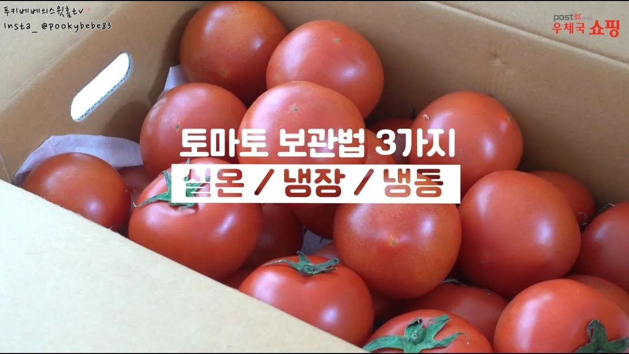 2주 이상 방울토마토 보관 시 꿀팁 오래 보관_8