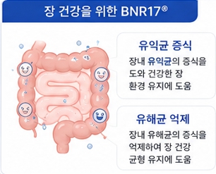 양배추백김치이미지