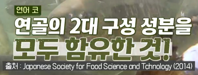 프로테오글리칸 추천 