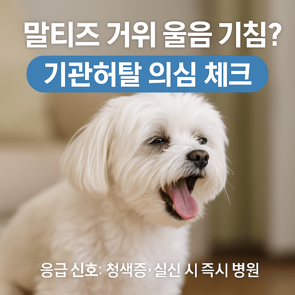 강아지 기관허탈