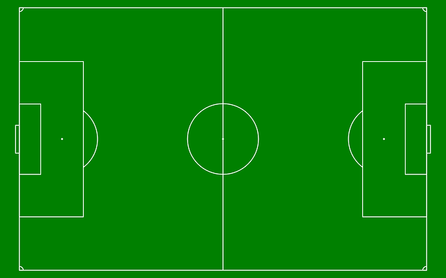 손흥민 축구선수 연봉