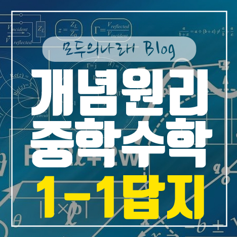 개념원리 중학수학 1-1 답지