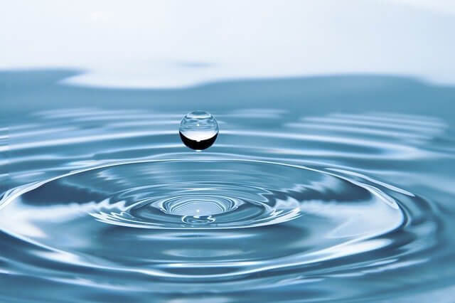 바이러스