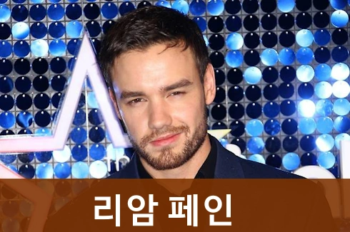 원디렉션 리암 페인 프로필