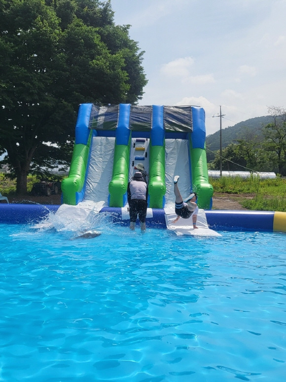 2025 양평메기수염축제 총정리