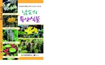 우리나라 특산식물 댕강나무와 댕강나무 꽃말 꽃댕강나무_14