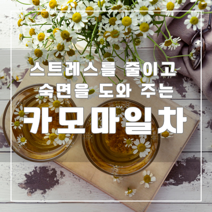 스트레스를 줄이고 숙면을 도와 주는 카모마일 차