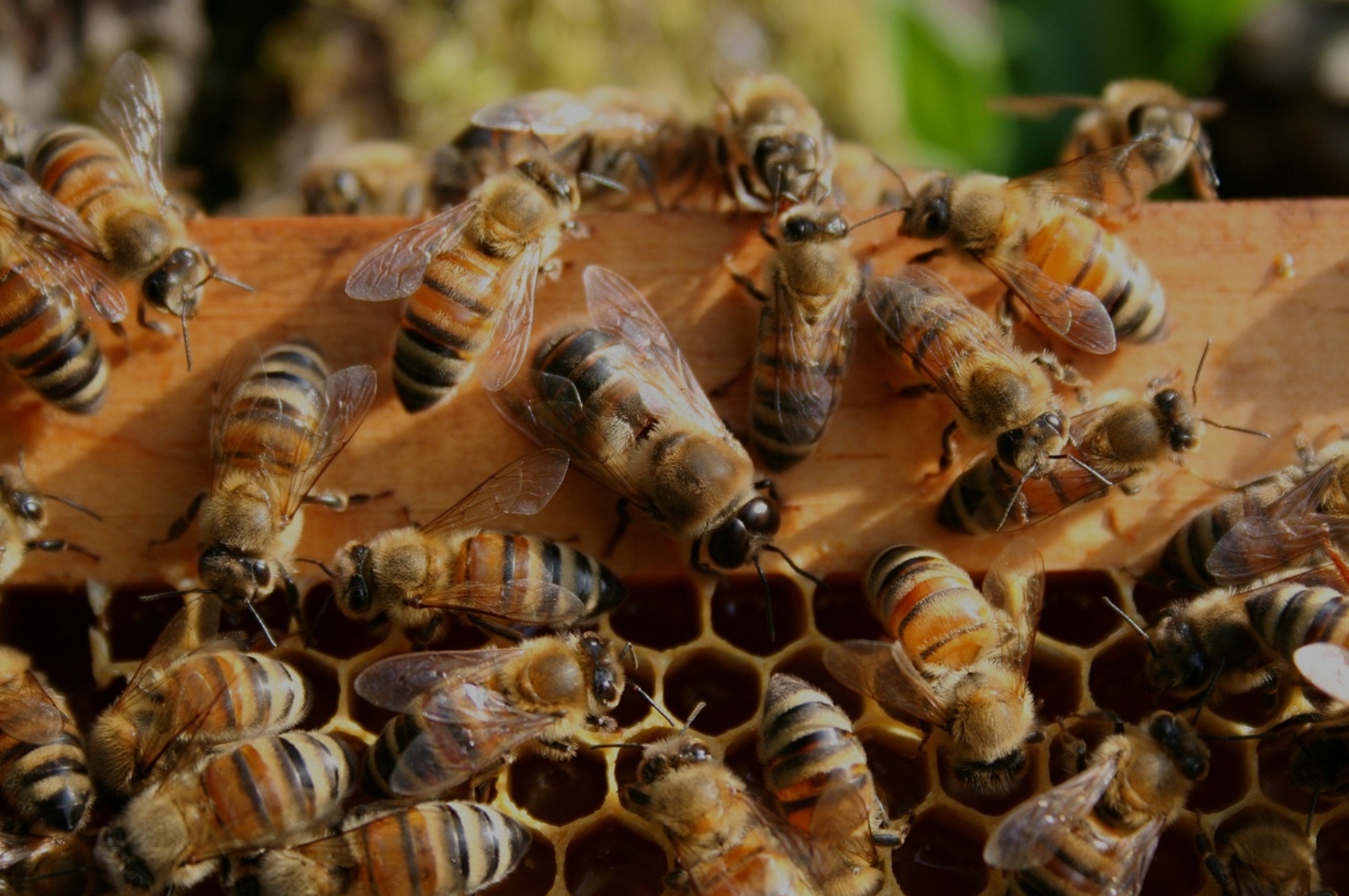 SNS 댓글에서 느껴지는 집단 심리