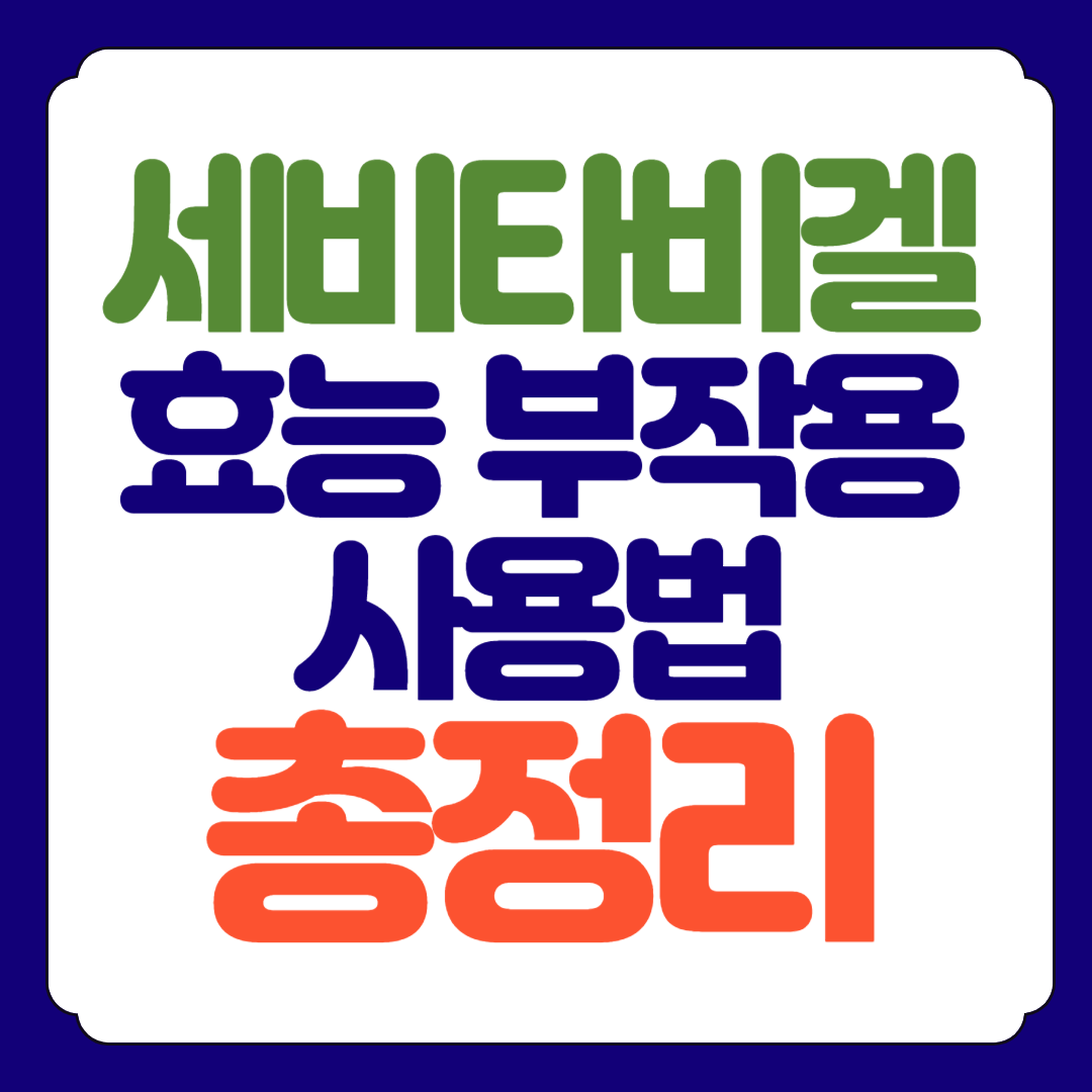 세비타비겔 효능 부작용 사용방법 총정리