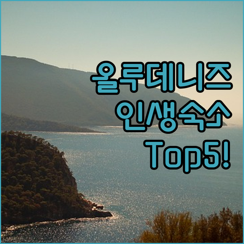 2025년 최신판 튀르키예 올루데니즈..