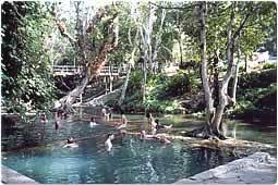 힌돔 온천(Hindad Hot Spring) 사진 (출처:tripadvisor/태사랑)
