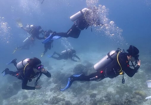 새로운 운동 시도
