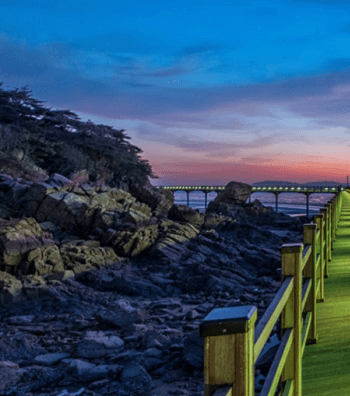 인천_무의도_가는길