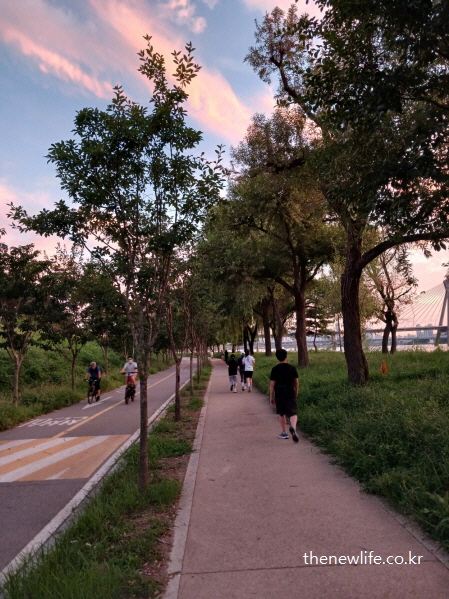 식욕 억제 방법으로 운동했던 한강공원 자전거 도로와 함께 이어진 걷기 산책길