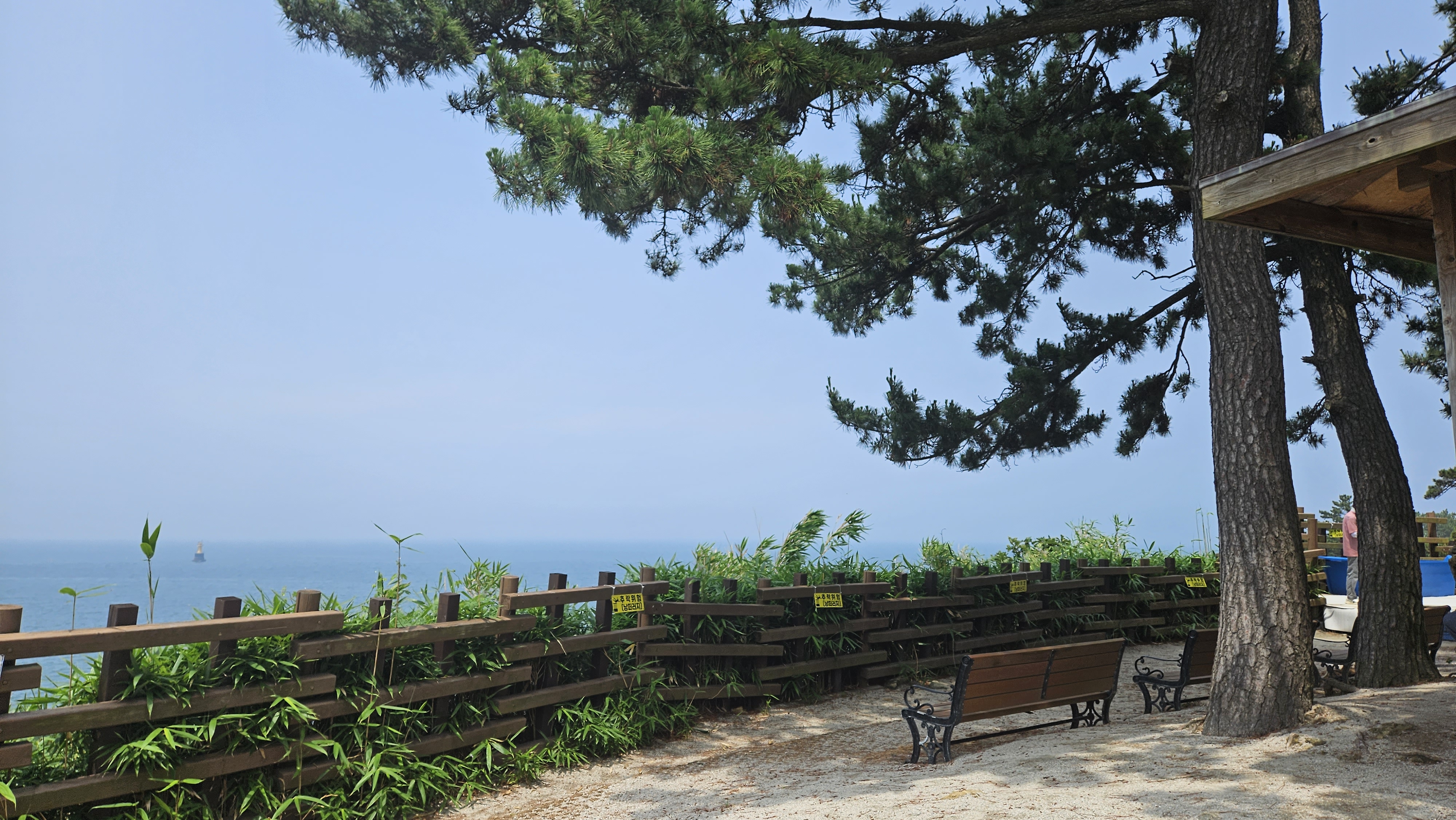 수성당에서 보이는 뷰