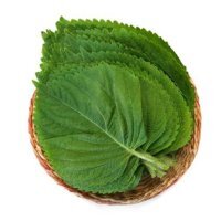 빈혈에 좋은 음식