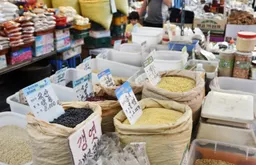 강원 민생회복지원금 신청 방법 대상 조건 서류 신청일 사용처 1인당 최대 25만원