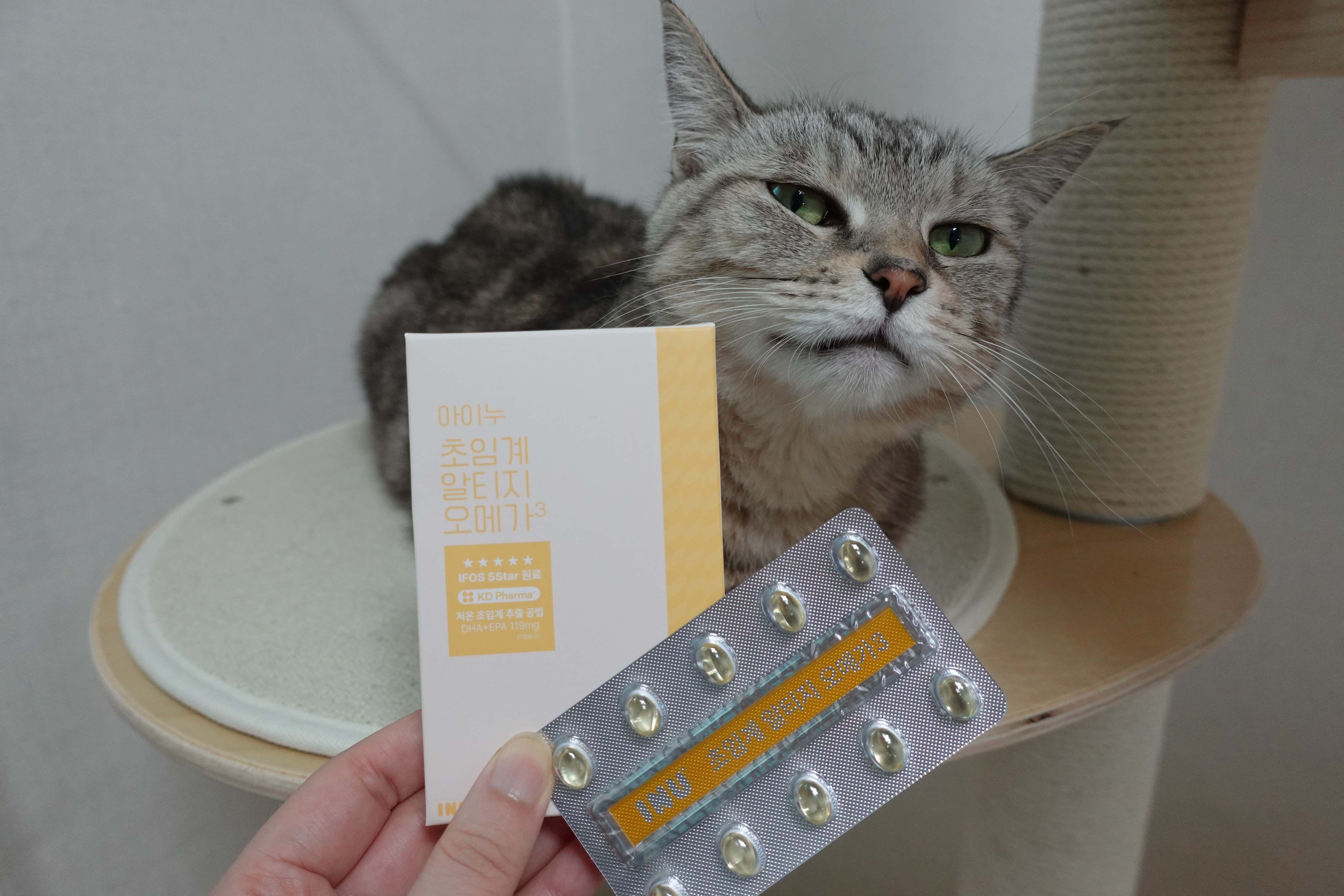 오메가3 &ndash; 피부 건강과 항염 작용