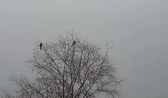 낙동강45-3공구프리테니스장