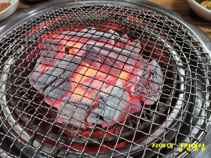 참 숯 위 의 그물로 된 불판