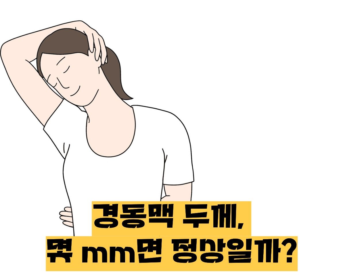 경동맥 두께 정상수치