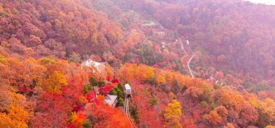 전국 가을축제 일정